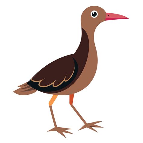 Galapagos Rail Bird walks kawaii 48803586 Vector Art at Vecteezy