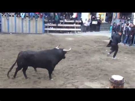 Castellnovo 11 1 2020 Toro De Chamaco Patrocina Penya Mil Duros YouTube