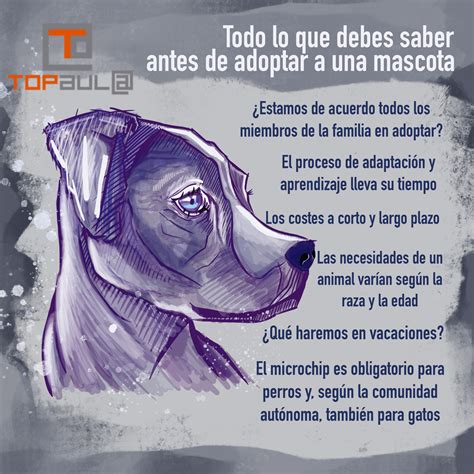 Que Hacer Antes De Adoptar Un Perro