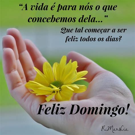 50 Frases De Bom Dia Domingo Lindo E Feliz Com S Para Compartilhar