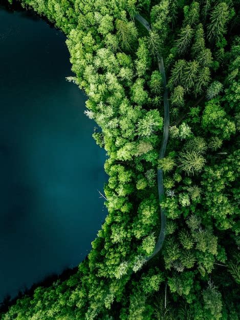 Vista A Rea De Cima Da Estrada Rural Na Floresta Verde De Ver O E Lago