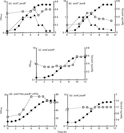 Figure 1 From Pyruvate Oxidase Contributes To The Aerobic Growth