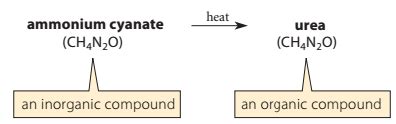 Orgo Final Exam Flashcards Quizlet