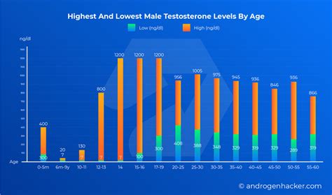 Testosterone Levels By Age Chart For Men Infographics