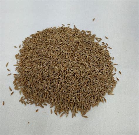 Brown Organic Cumin Seeds At Rs 750 Kg In Mumbai ID 27539255548