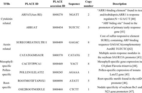 The Putative Transcriptional Factor Binding Sites Tfbs Identified