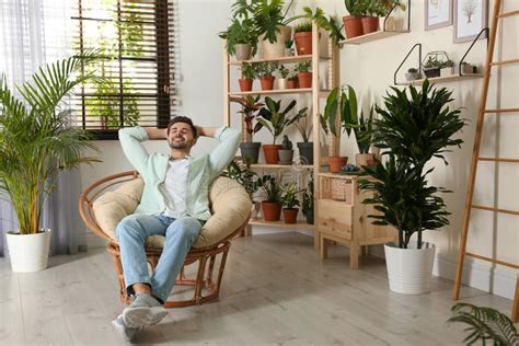 Homem Novo Que Descansa Na Sala Plantas Da Casa Foto De Stock