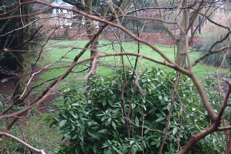 Clarendon Crescent gardens, Leamington Spa - Our Warwickshire