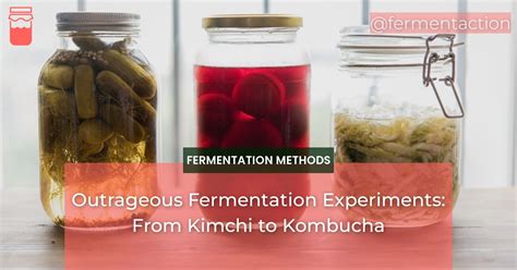 Outrageous Fermentation Experiments: From Kimchi to Kombucha ...