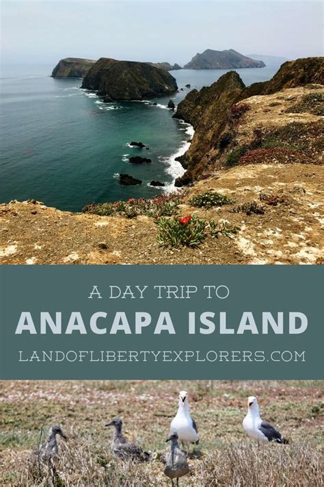 Adventure to anacapa island – Artofit