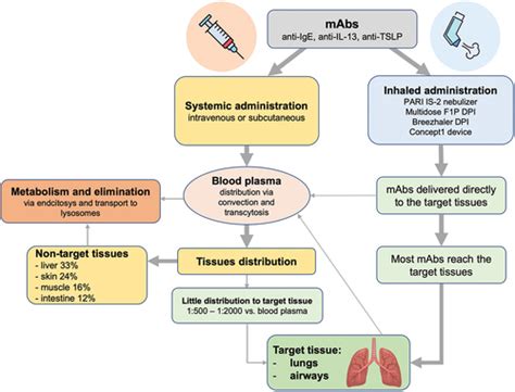 Full Article Delivering Monoclonal Antibodies Via Inhalation A Systematic Review Of Clinical