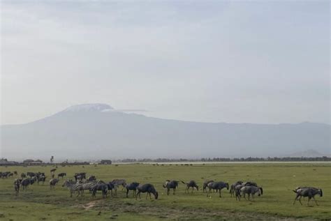 Amboseli National Park Safari Alderley Tours Travel