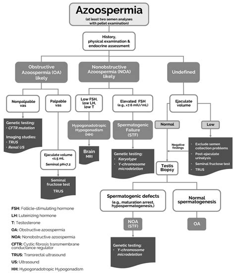 Jcm Free Full Text Differential Diagnosis Of Azoospermia In Men