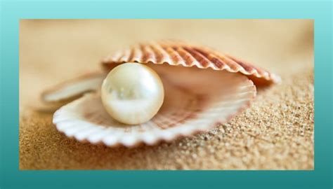 Pearl Meaning Symbolism And Myths — Ocean Jewelry