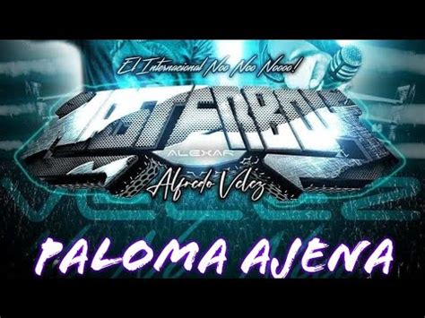 Paloma Ajena Cumbia Ecuatoriana 2023 YouTube