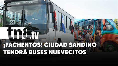 Fachentos Ciudad Sandino Celebra El Cambio Total De Su Flota De Buses