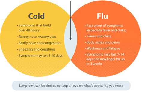 Cold & Flu - Causes, Symptoms & Treatment - CODRAL® New Zealand