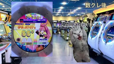 地元のゲーセンで音ゲーをやる日常 猫ミーム 猫マニ Youtube