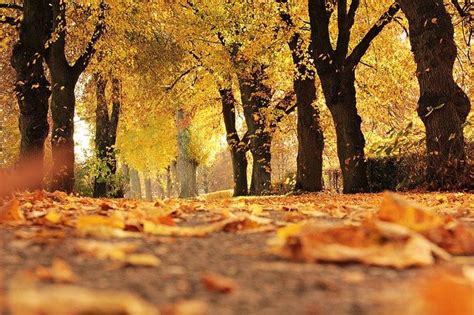 Szczecin Jaka Pogoda Czeka Nas W Weekend I Wszystkich Wi Tych