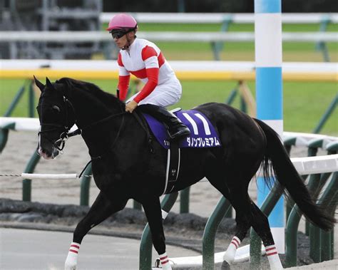 ダノンプレミアムに猿橋助手「やるべきことこなして変わらず順調」【香港c】：中日スポーツ・東京中日スポーツ