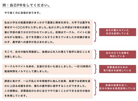 インターンシップに受かるエントリーシート（es）の書き方と例文 · En Courage