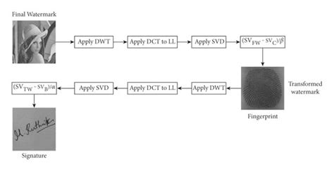 Watermark Extraction Using Dwt Dct Svd And Its Inverse Techniques Download Scientific Diagram