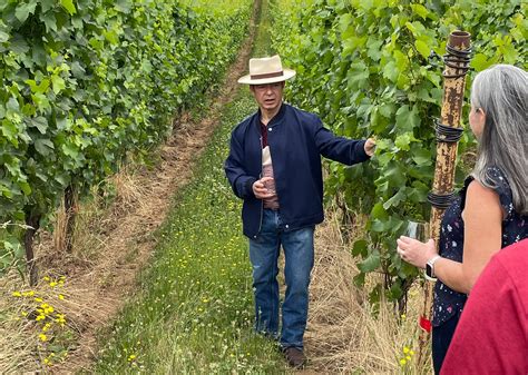 Master Sommelier Larry Stone Unearths To Kalon Vineyard’s Historic Leg