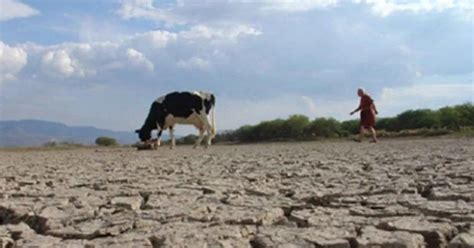 Declararon La Emergencia Agropecuaria Por La Sequía En Santa Bárbara Y