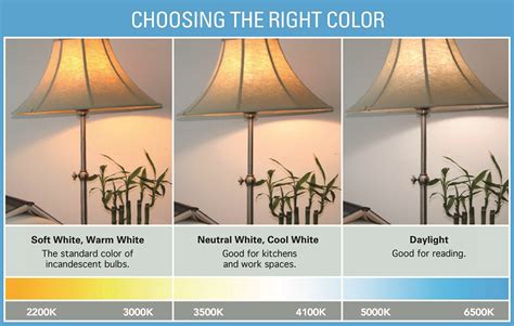 Daylight Light Bulb Color Temperature Bulbs Ideas