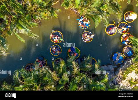 Aerial View Of A Coconut Village Basket Boat Tour Palms Forest In Hoi