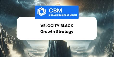 Growth Strategy And Future Prospects Of Velocity Black Canvas Swot