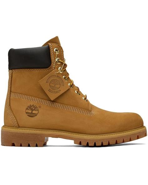 Timberland Beige Premium 6 Inch Waterproof Boots In Brown For Men Lyst