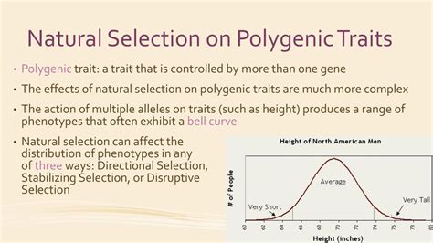 Patterns Of Selection Ppt Download