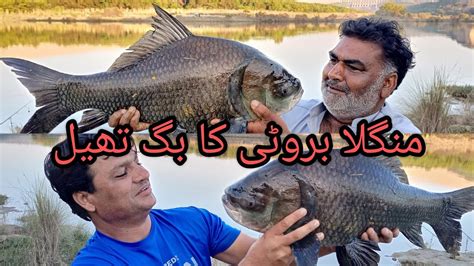 Big Catla Fish Hunting Mangla Brooti Mangla Dam Fishing Muhammad Saad