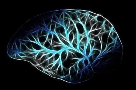How Much Oxygen Our Brain Needs
