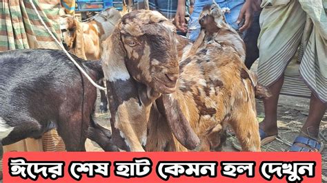 ঈদের শেষ হাট । নাটোর তেবাড়ীয়া হাটে ছাগলে দাম কেমন গেল। ক্রস বাচ্চা