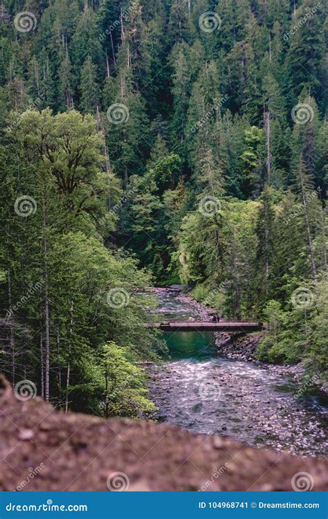 Hiking on the Olympic Peninsula Stock Image - Image of beautiful ...