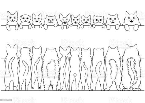 Standing Cats Front And Back Border Set Stock Illustration Download