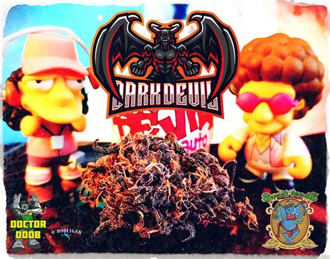 Dark Devil Auto Sweet Seeds Hanfsorten Galerie