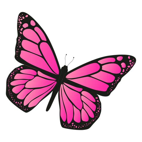 Pink Butterfly Drawing Hannah Thomas Coloring Pages