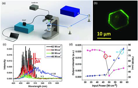 A Schematic Illustration Of The Femtosecond Laser System For Detecting