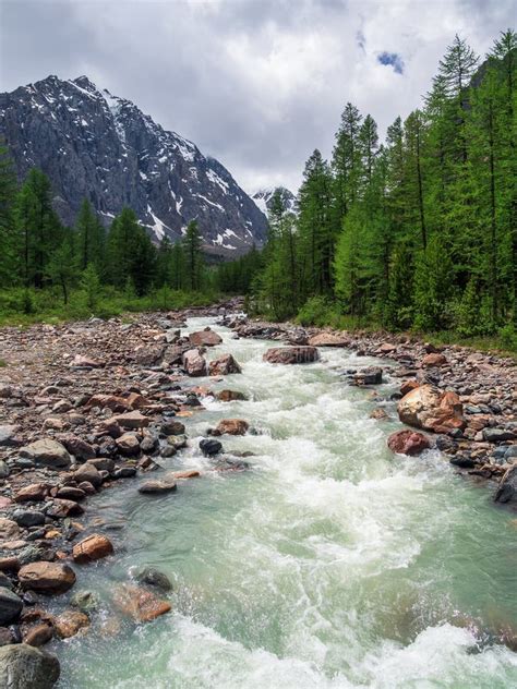 Stormy Mountain River Flow Through Forest Beautiful Alpine Landscape