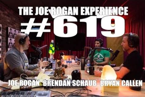 The Joe Rogan Experience Bryan Callen And Brendan Schaub Podcast