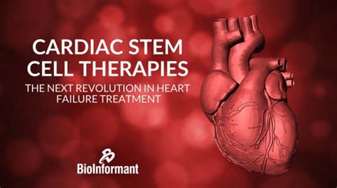 Cardiac Stem Cell Therapies Heart Failure Treatment