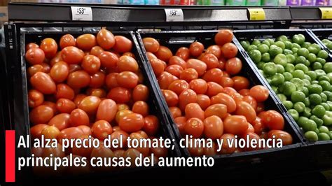 Al Alza Precio Del Tomate Clima Y Violencia Principales Causas Del