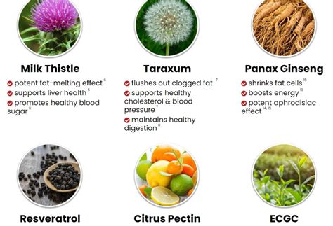 Ikaria lean belly juice ingredients (15 Full List, Side Effects)