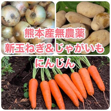 熊本産無農薬野菜45キロの通販 By ななこs Shop｜ラクマ