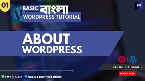 01 What Is WordPress WordPress Bangla Tutorial 2024 AMI MASUD