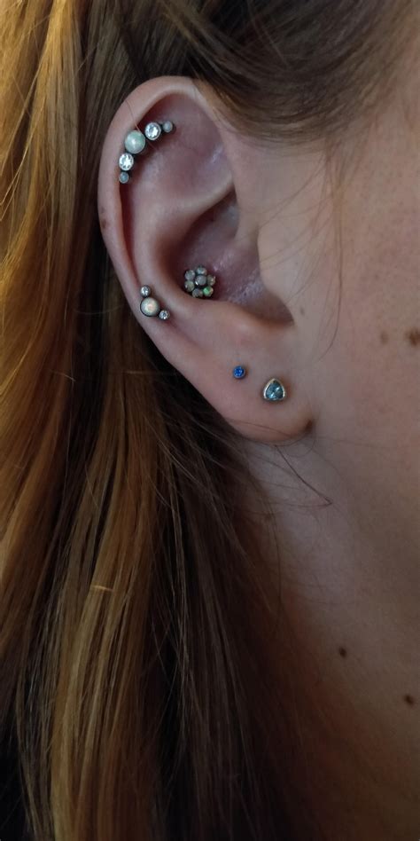 Conch jewellery suggestions : r/piercing