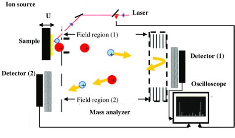 Basic Principle Of Linearreflectron Mode Maldi Tof Mass Spectrometer